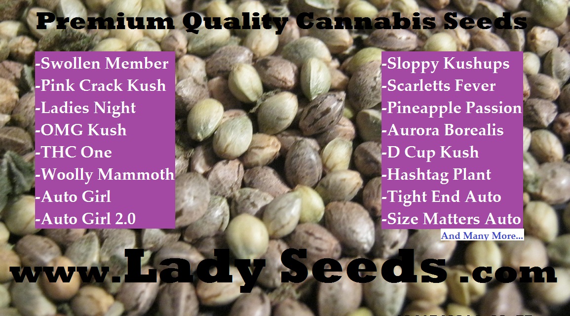 Lady Seeds Premium Cannabis Seeds