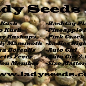 Ladyseeds seed list